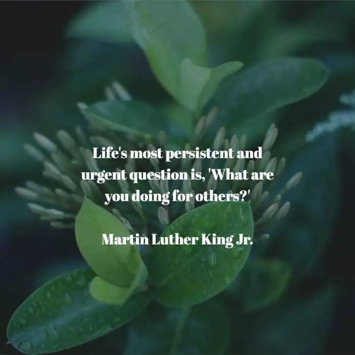 Quote-Mlk-Persistant Quote Mlk Persistant