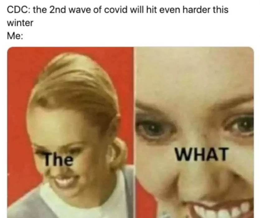 Meme About Ignorance About Second Wave Of Covid19