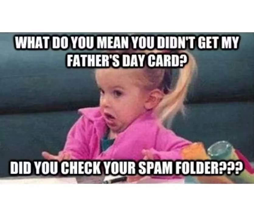 Fathers Day Greeting In Spam Meme