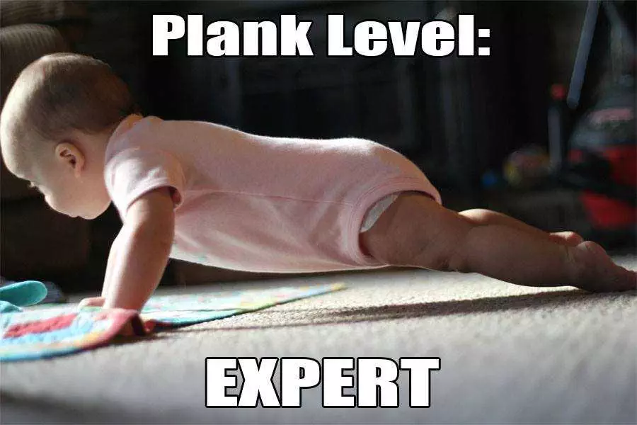 Yoga-Plant-Expert Yoga Plant