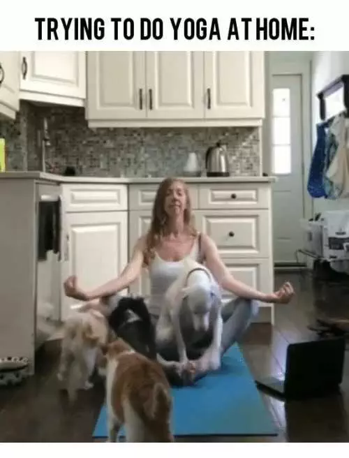Yoga Trying At Home