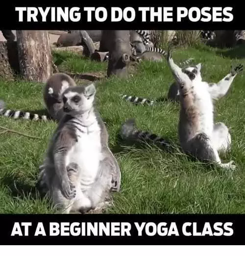Yoga Trying To Do
