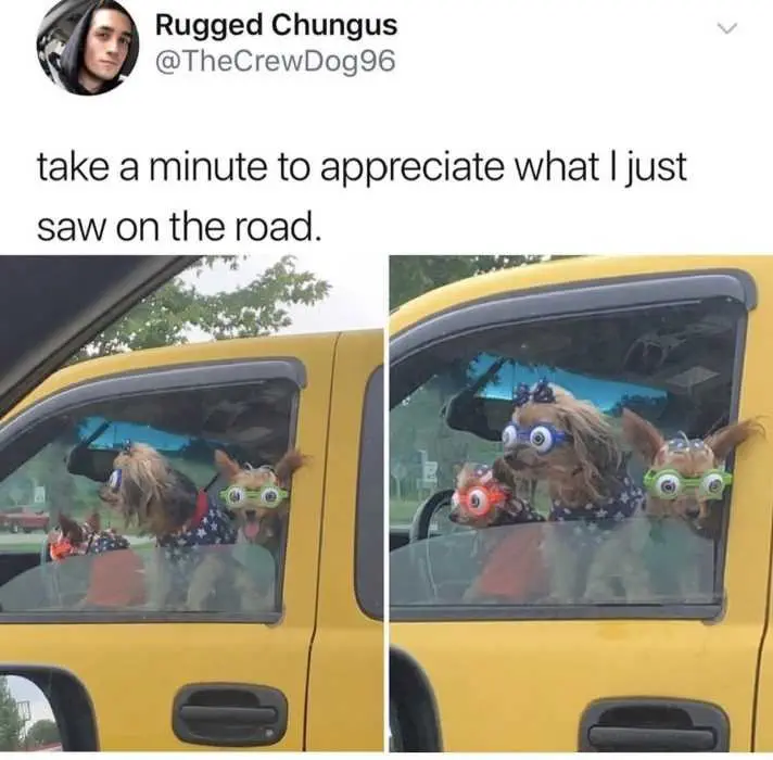 Dog-Saw-Road Dog Saw Road