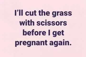 Meme Cut Grass Scissors