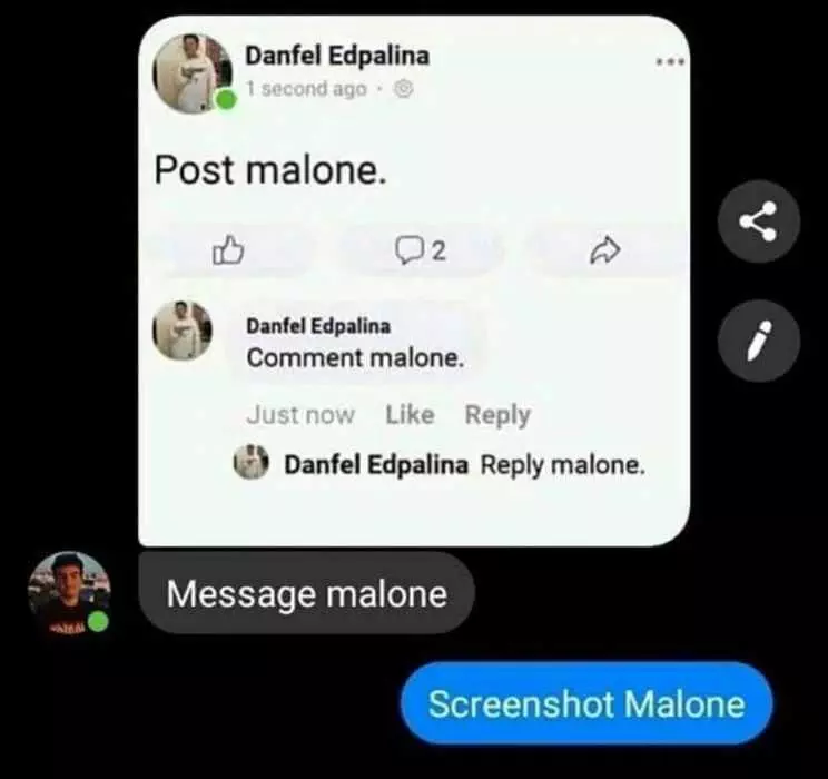 Meme Post Malone