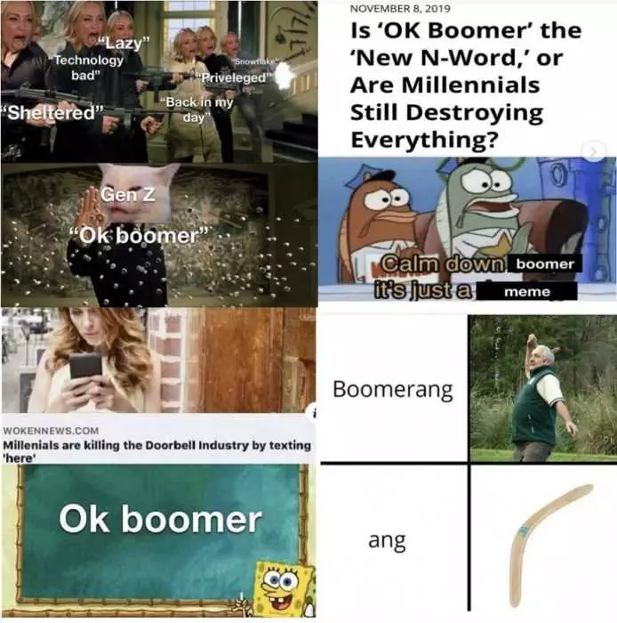 Meme Comparing Ok Boomer To Nword