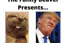 Donald Trump With An Expression That Looks Just Like A Beaver