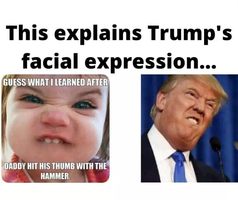 Comparison Of Donald Trump And Child'S Facial Expression