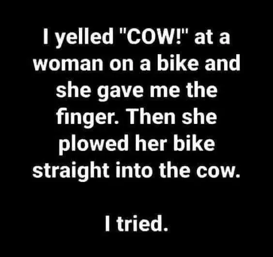 Funny-Yelled-Cow Funny Yelled Cow