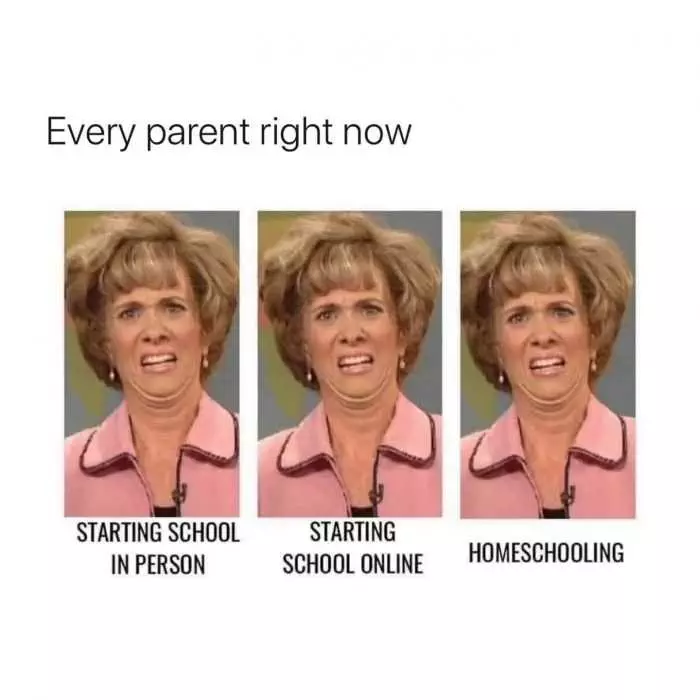 Funny Back To School Memes  School In Person, Online, Homeschool, All Ugh