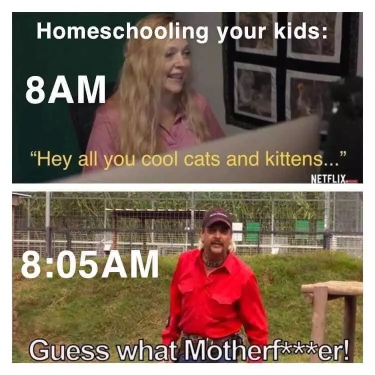 Funny Back To School Memes  That Took 5 Minutes