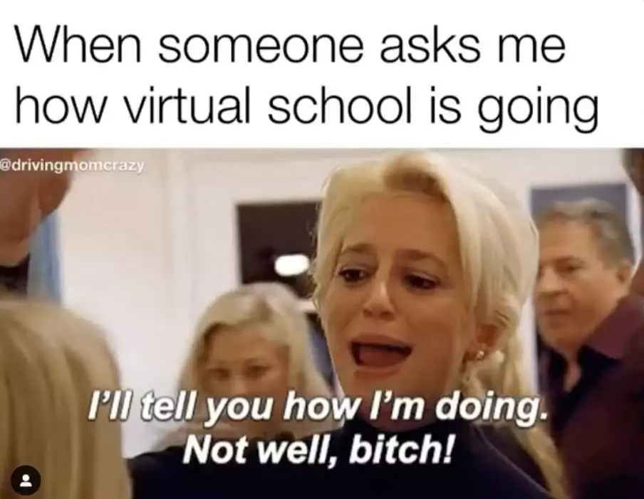 Meme Virtual School