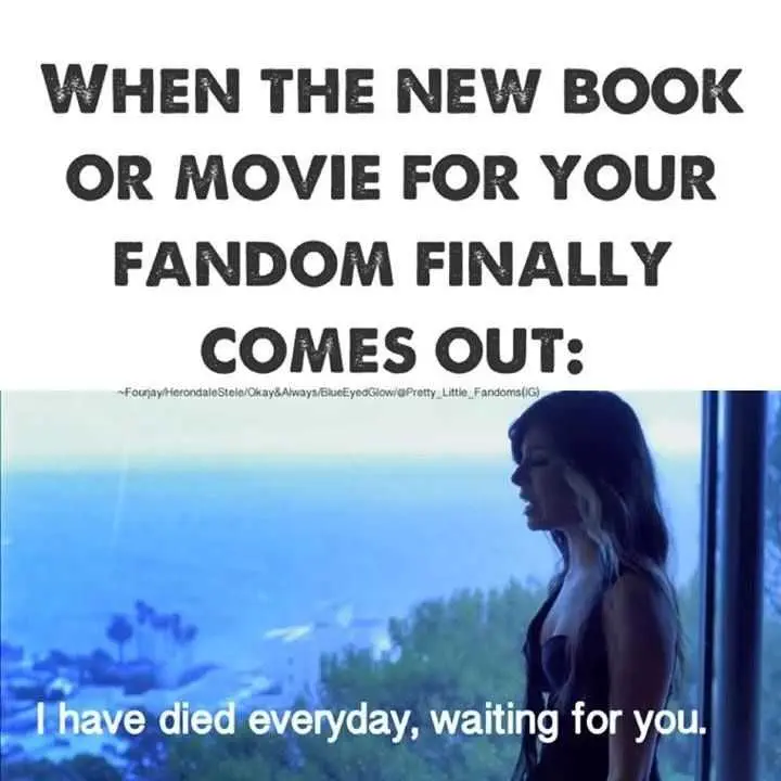 Meme-When-Fandom Meme When Fandom