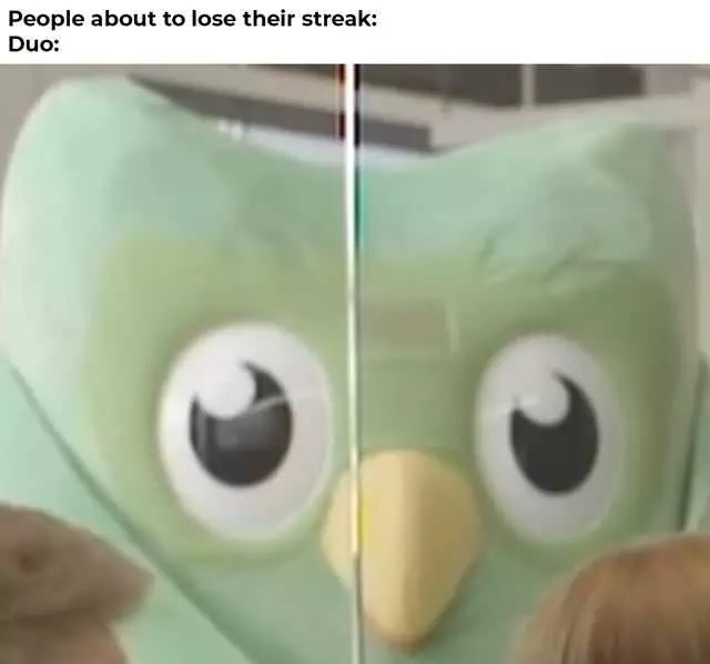 Duolingo Owl Observing Meme
