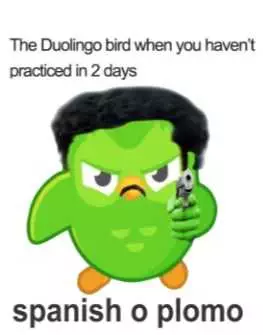 Duolingo Pulls Gun Meme