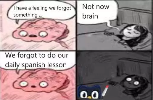 Duolingo Memes With Brain