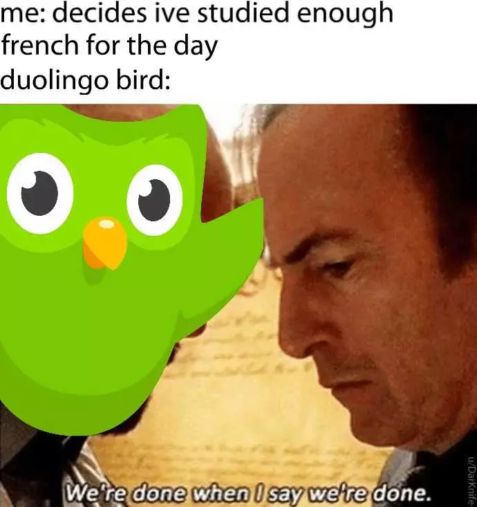 Reddit-We-Are-Done Duolingo Better Call Saul Meme
