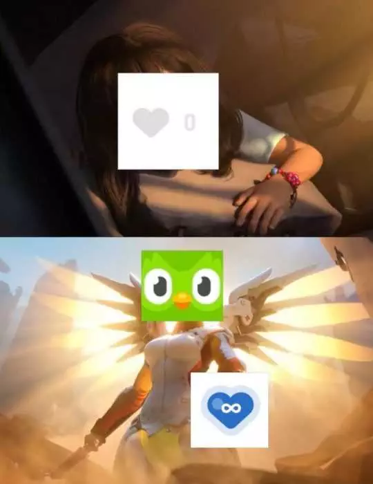 Duolingo Showing Colors Meme