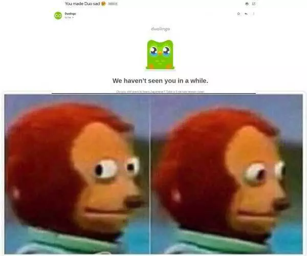 Duolingo Uneasy Meme