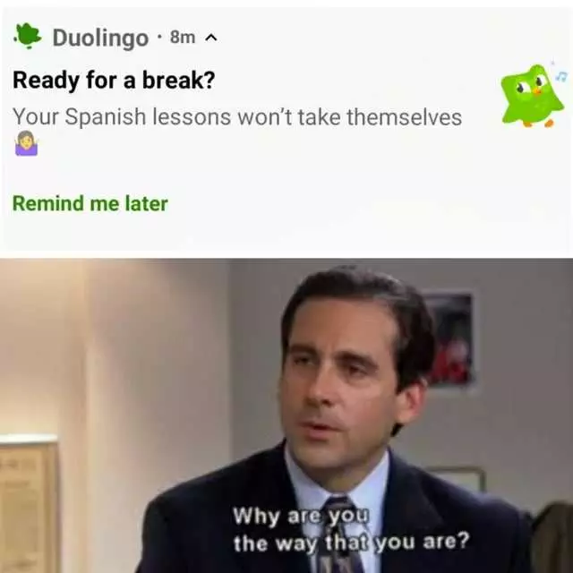 Duolingo Not So Happy Meme