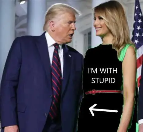 Melania Green Screen Dress Memes With Stupid