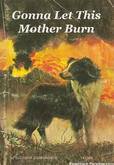 Funny Fake Book Covers  Gonna Let Mother Burn