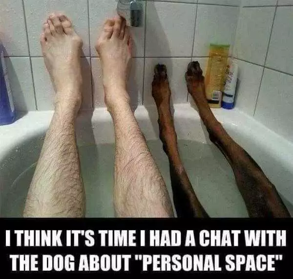 Photo Of Man And Dog In Bathtub Showing Legs