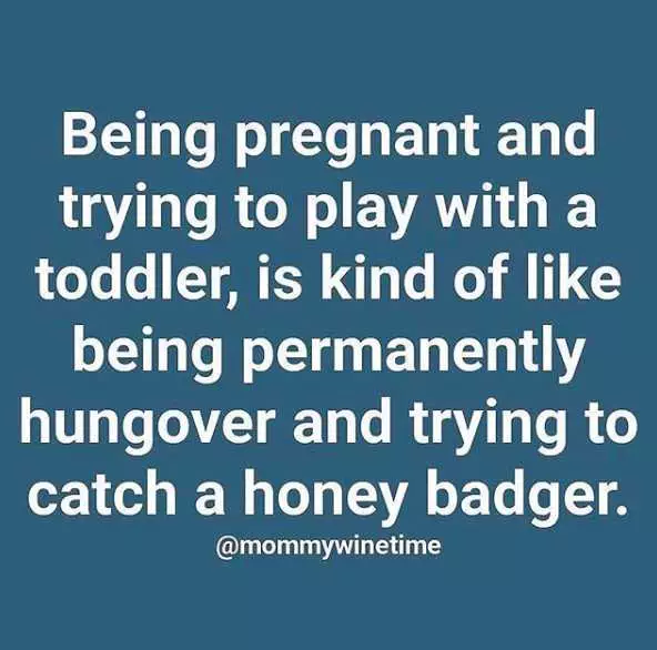 Funny Parenting Memes About Second Pregnancies