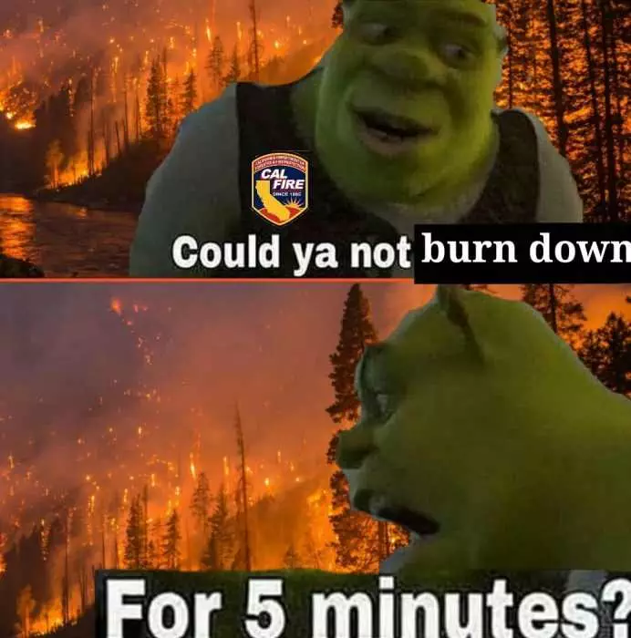 California Wildfire Memes  Shrek Asking Nicely