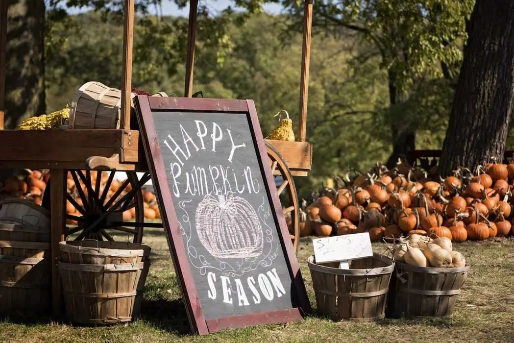 Fall Activities For Kids  Visit Pumpkin Patch