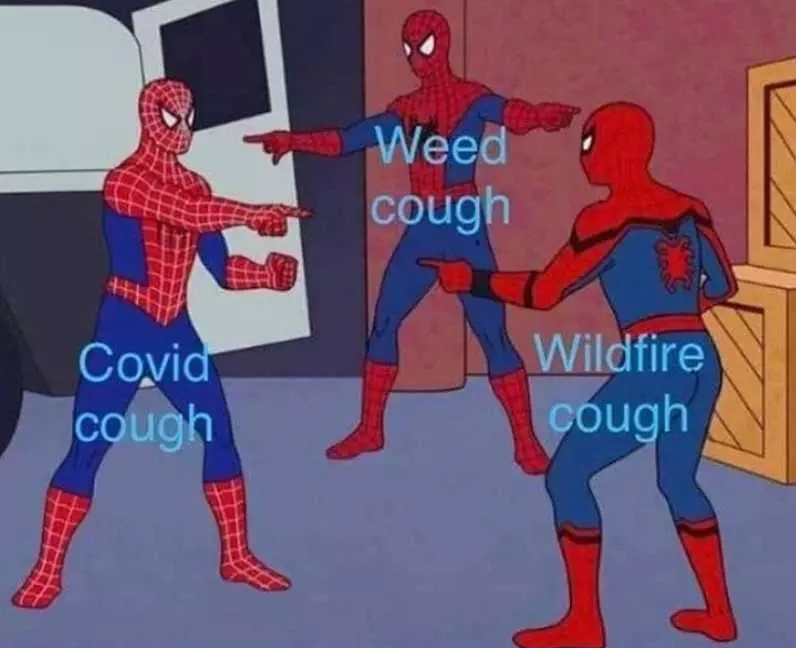 Weed Cough Covid Cough Wildfire Cough