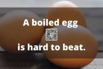 Funny Puns And Clever Memes  Boiled Eggs