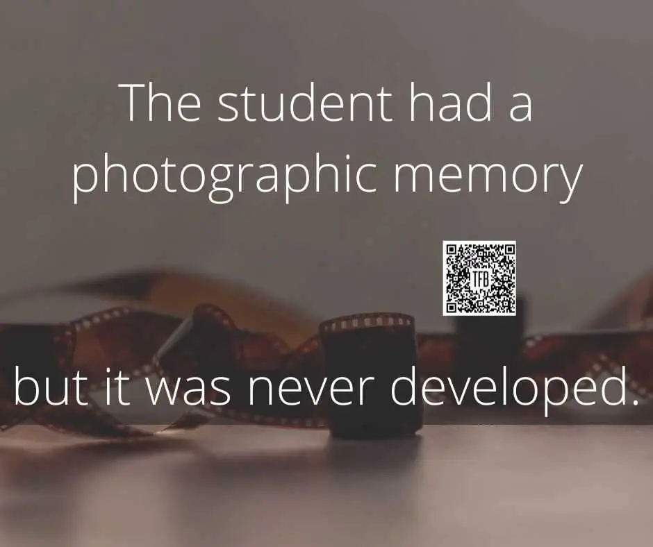 He Had A Photographic Memory Which Was Never Developed. 13 Funny Pun And Clever Memes Photographic Memory