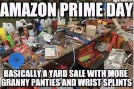 Amazon Prime Day Memes 21 Prime Day Memes Garage Sale
