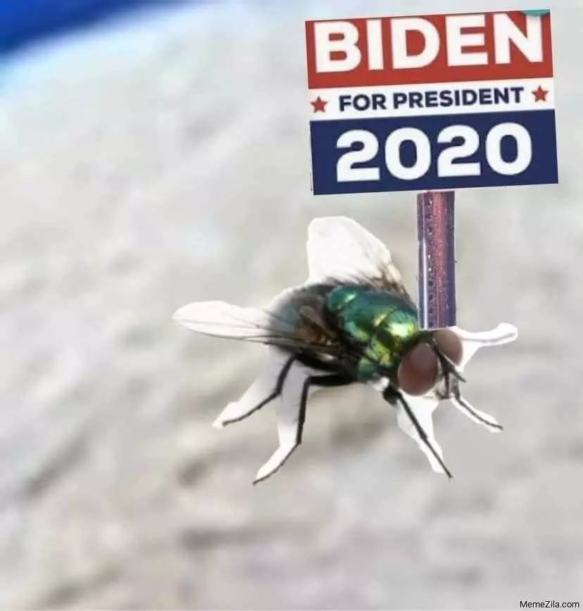 Fly 2020