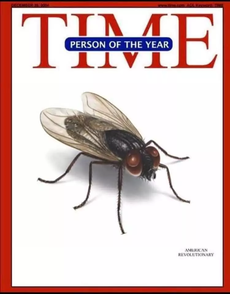Debate Fly Memes 2  Time Cover