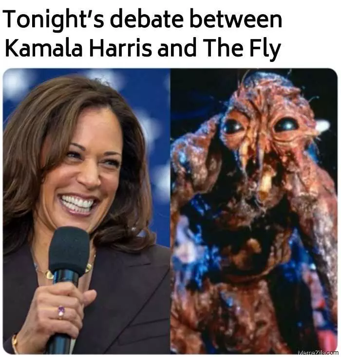 Fly-Debate-Between Fly Debate Between