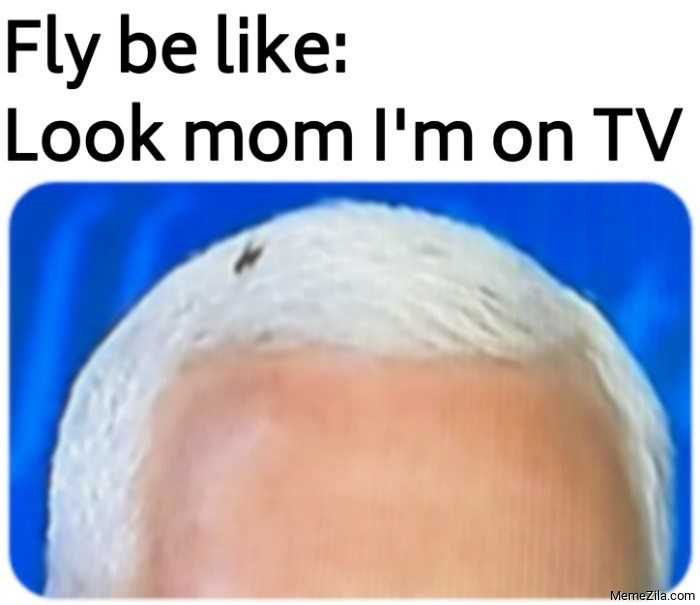 Fly-Look-Mom Fly Look Mom