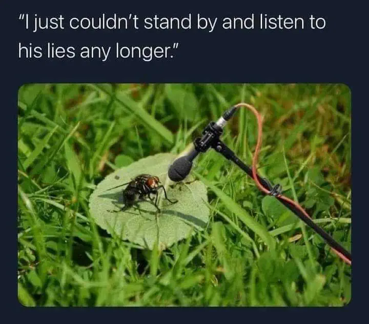 Fly-Stand-By Fly Stand By