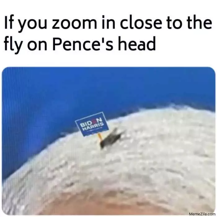 Fly Zoom