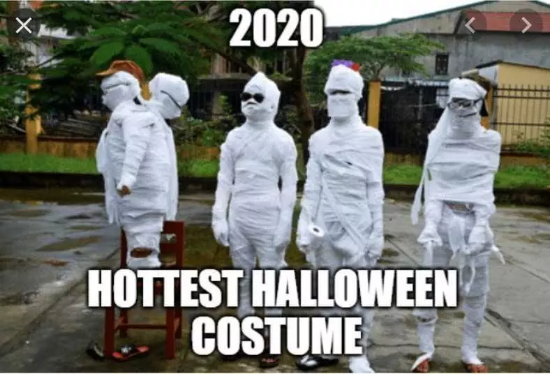 Halloween 2020 Costumes Meme  Expensive Costume