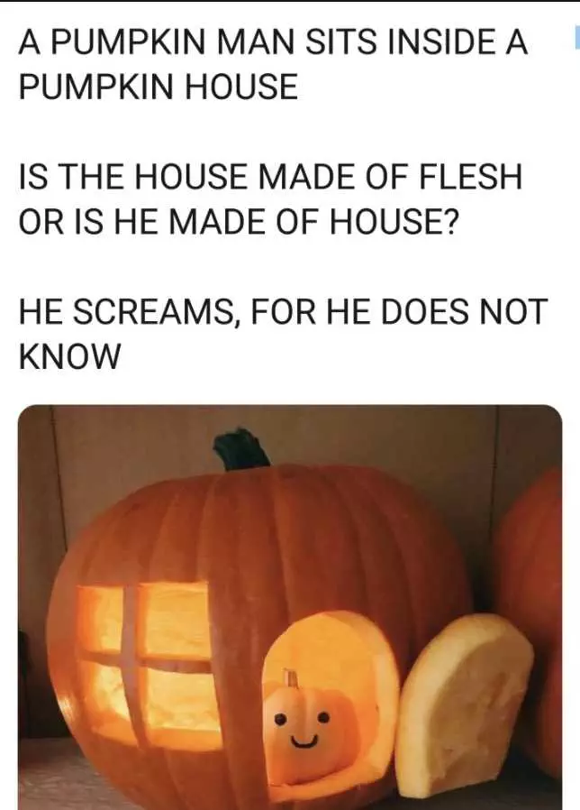 Halloween Memes  Pumpkin House