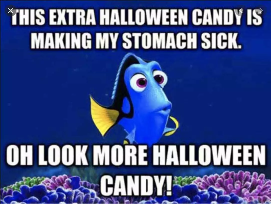 Halloween Memes  Stomach Sick