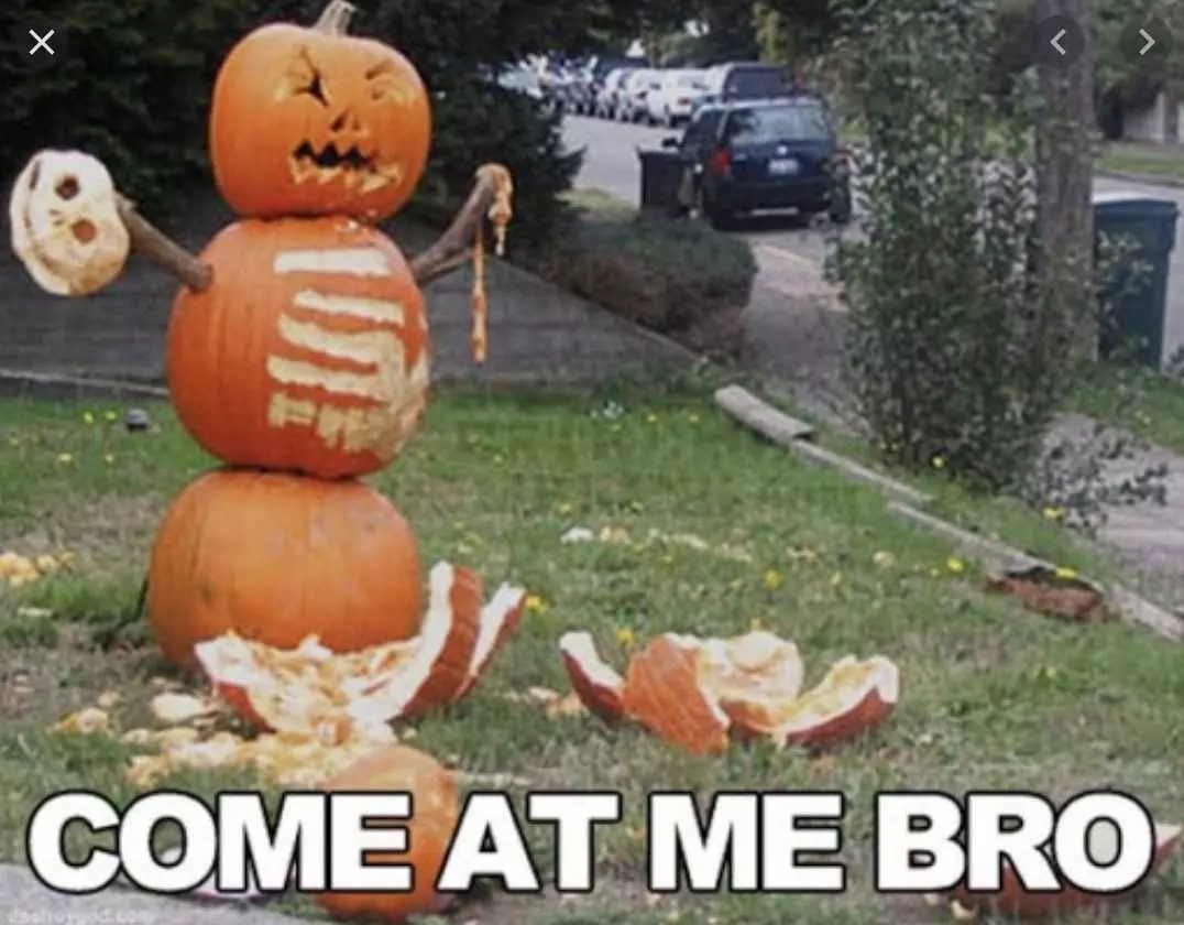 Halloween Meme  Pumpkin Carving Display