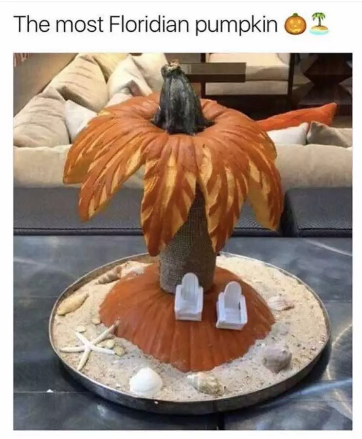 Halloween Memes  Florida Pumpkin Carving