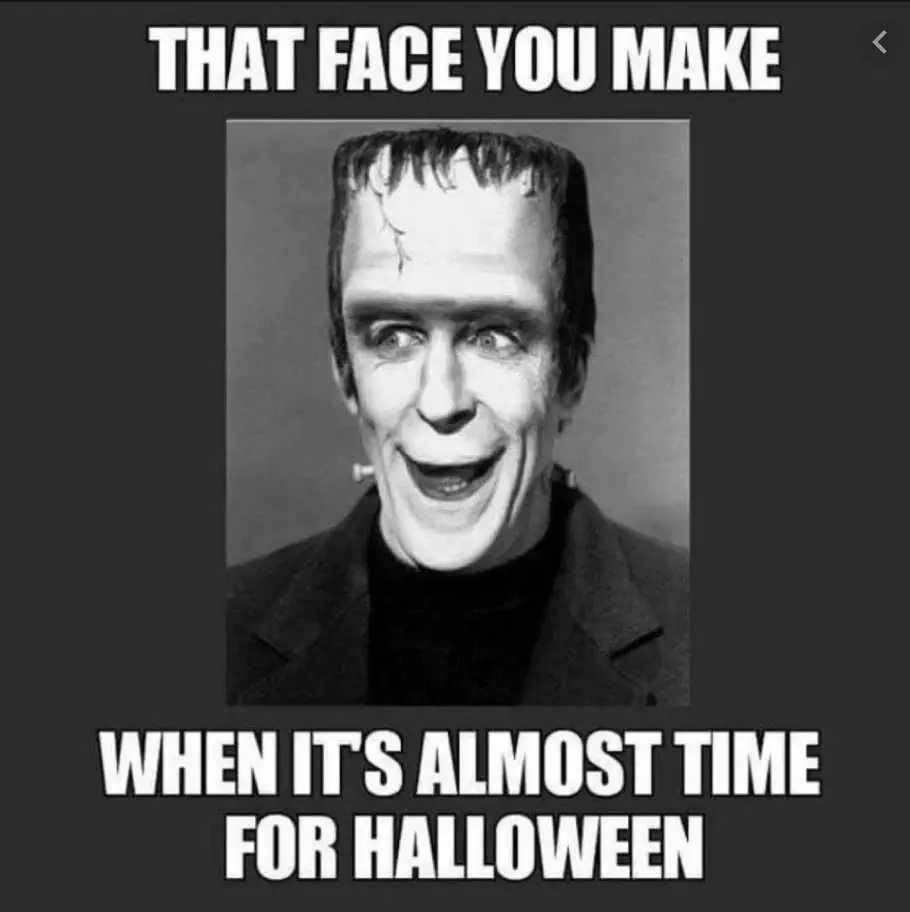Halloween Meme  Face Of Anticipation