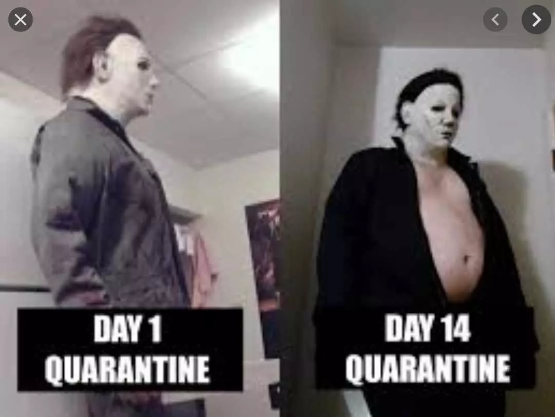Halloween 2020 Meme  The Quarantine 20