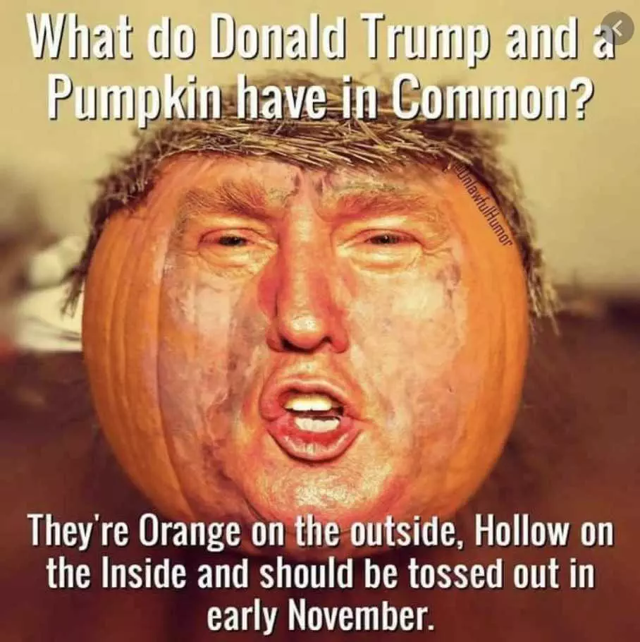 Halloween 2020 Memes  Donald Trump And Pumpkin Similarities