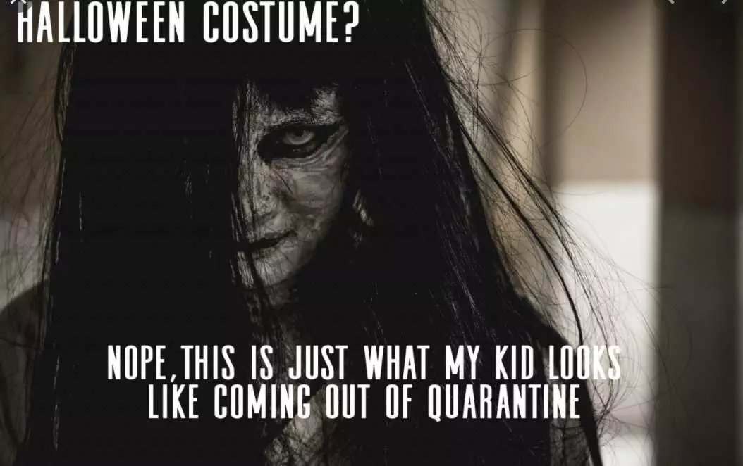 Halloween 2020 Costume Memes  No Costume Needed