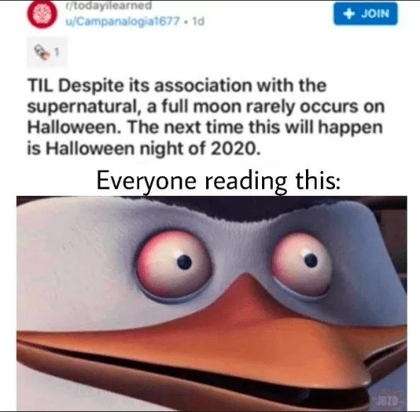 Halloween Memes 4  Reading This